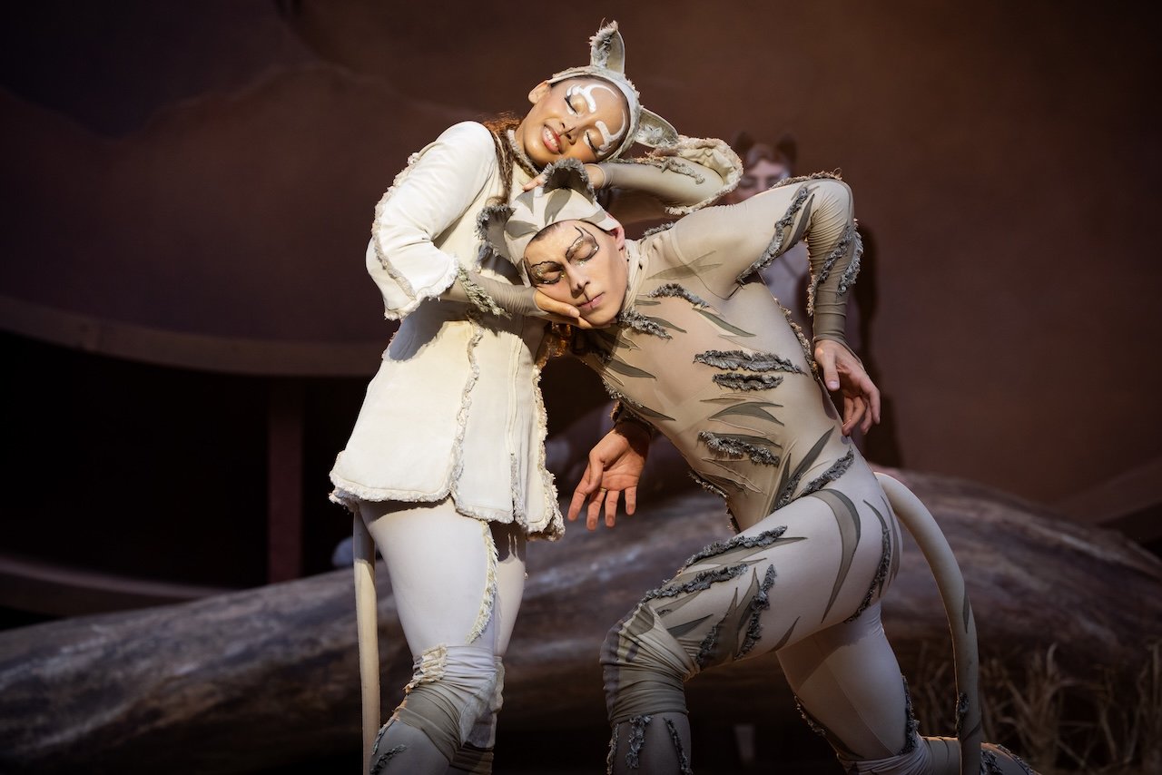 CATS.-Hannah-Joseph-Victoria-and-Regan-Garcia-Pouncival.-Credit-Mark-Senior.-13-Edit CATS.-Hannah-Joseph-Victoria-and-Regan-Garcia-Pouncival.-Credit-Mark-Senior.-13-Edit