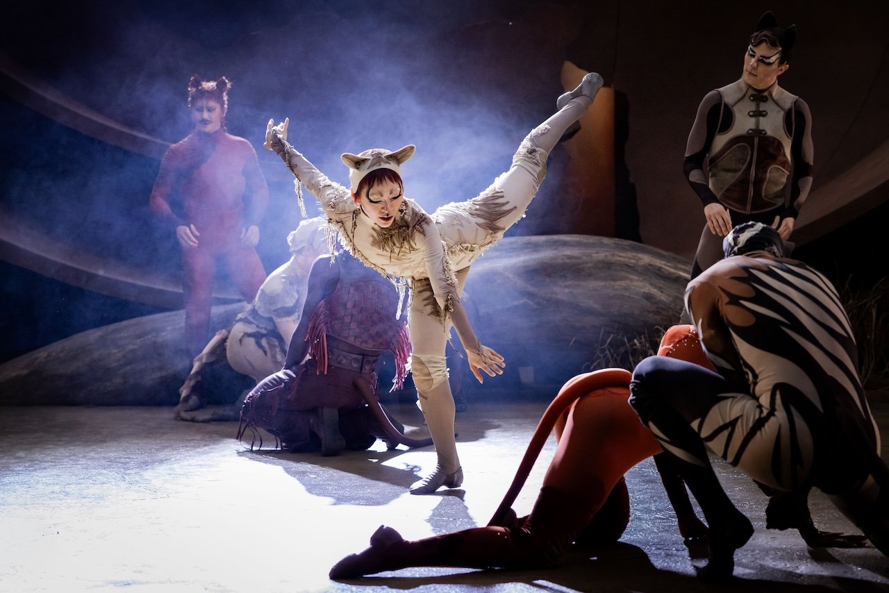 CATS.-Patricia-Zhou-Cassandra-and-cast.-Credit-Mark-Senior-45-Edit CATS.-Patricia-Zhou-Cassandra-and-cast.-Credit-Mark-Senior-45-Edit
