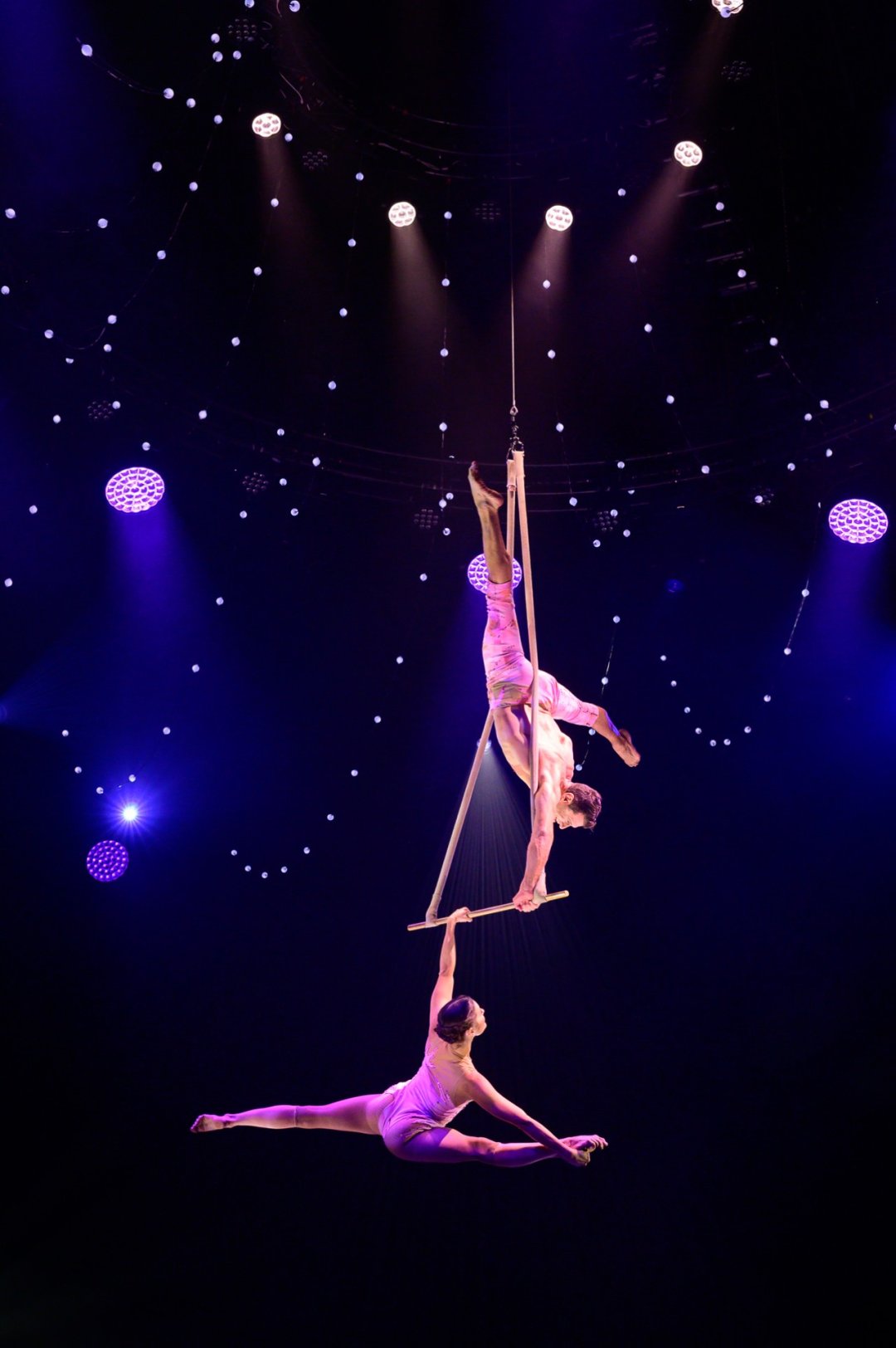 Cirque-Alice-official-photography-11 Cirque-Alice-official-photography-11