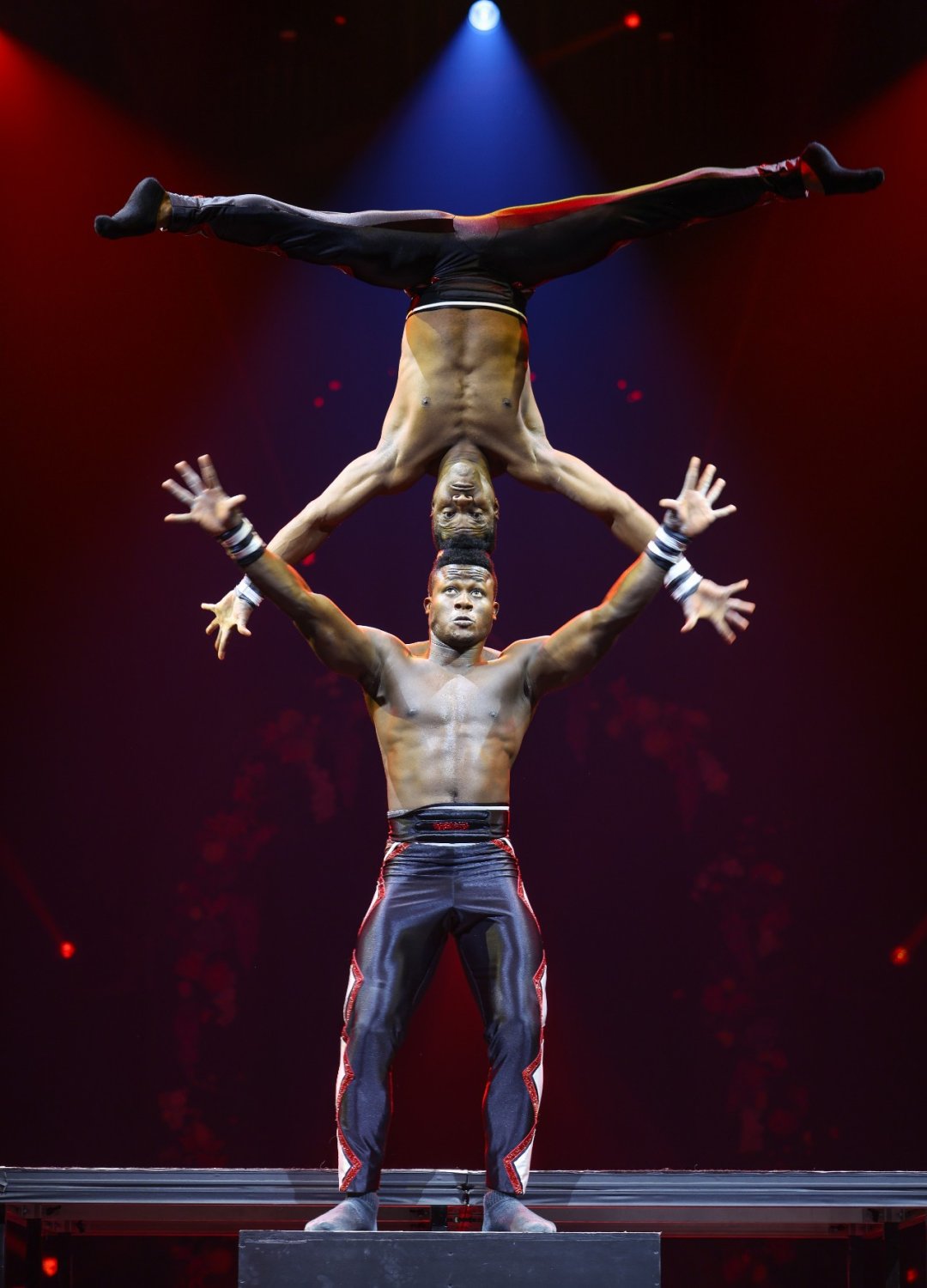 Cirque-Alice-official-photography-7 Cirque-Alice-official-photography-7