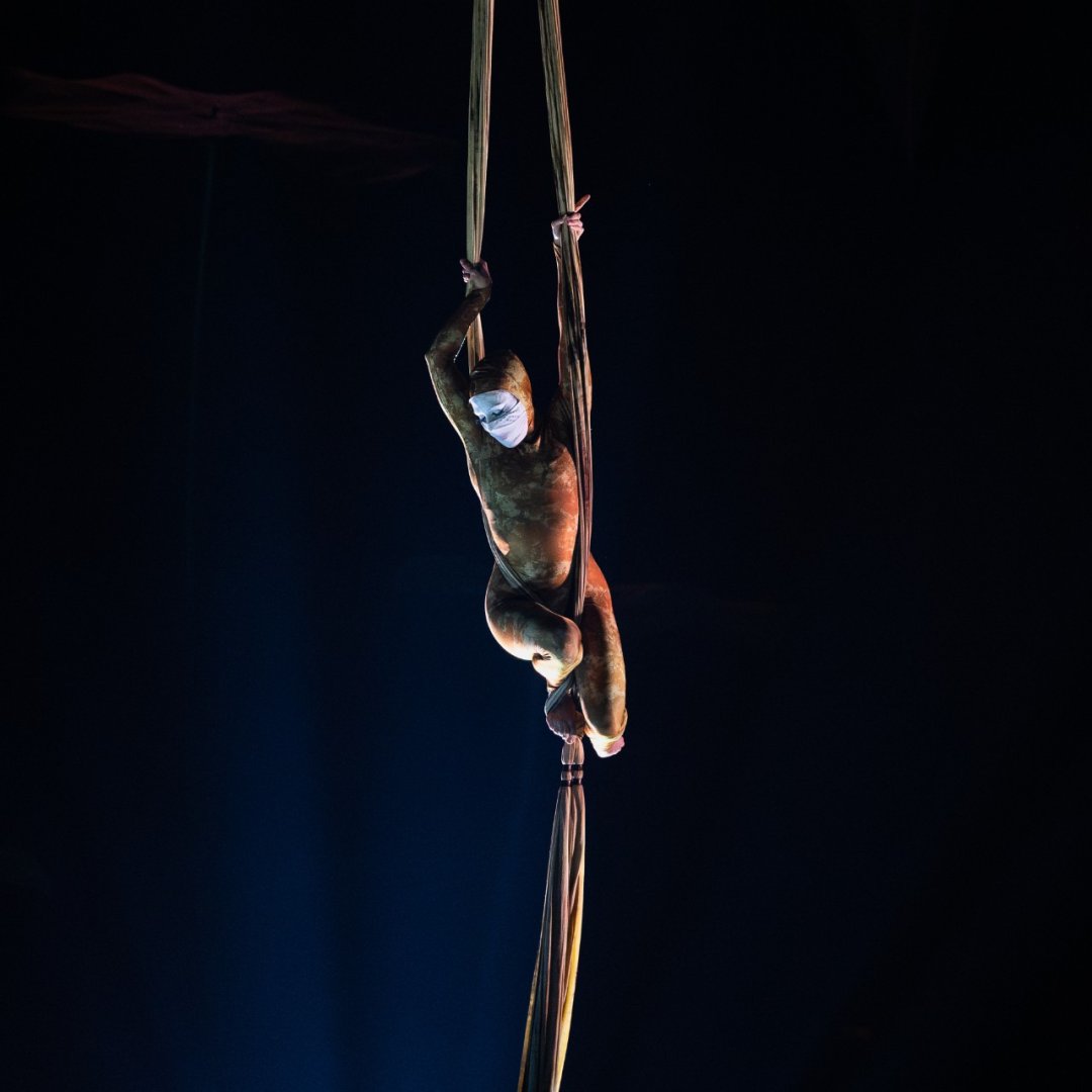 Cirque-du-Soleil-OVO-at-the-Royal-Albert-Hall.-Photo-by-Anne-Marie-Forker-11 Cirque-du-Soleil-OVO-at-the-Royal-Albert-Hall.-Photo-by-Anne-Marie-Forker-11