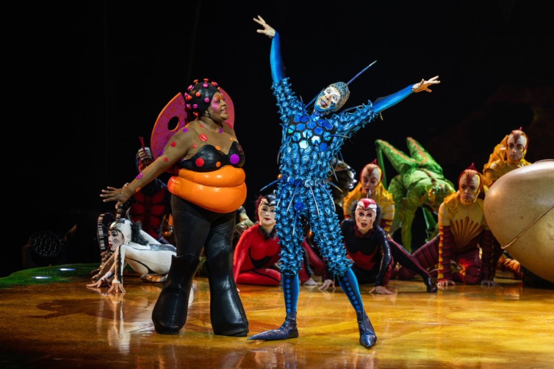 Cirque-du-Soleil-OVO-at-the-Royal-Albert-Hall.-Photo-by-Anne-Marie-Forker-12 Cirque-du-Soleil-OVO-at-the-Royal-Albert-Hall.-Photo-by-Anne-Marie-Forker-12