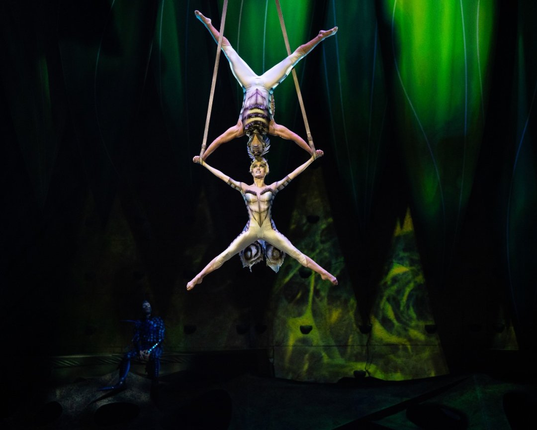 Cirque-du-Soleil-OVO-at-the-Royal-Albert-Hall.-Photo-by-Anne-Marie-Forker-13 Cirque-du-Soleil-OVO-at-the-Royal-Albert-Hall.-Photo-by-Anne-Marie-Forker-13