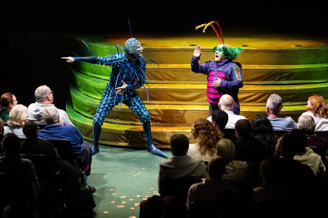 Cirque-du-Soleil-OVO-at-the-Royal-Albert-Hall.-Photo-by-Anne-Marie-Forker-14 Cirque-du-Soleil-OVO-at-the-Royal-Albert-Hall.-Photo-by-Anne-Marie-Forker-14