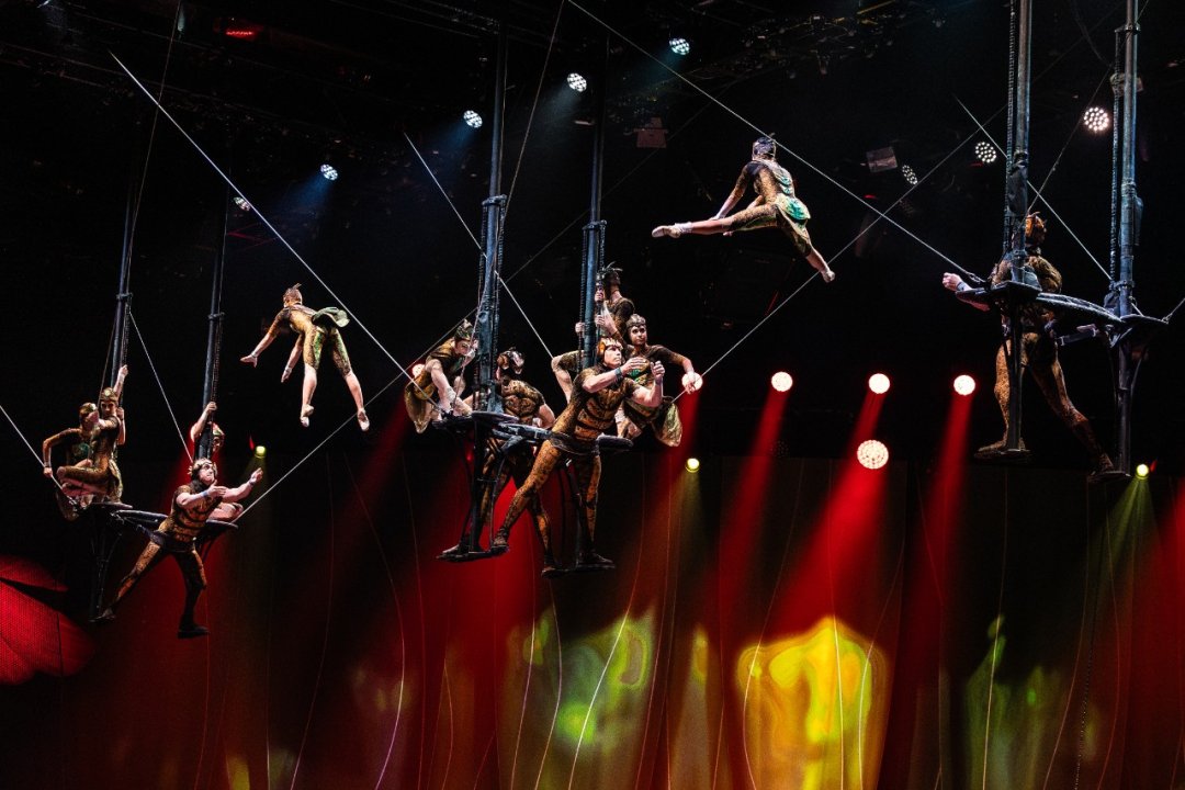 Cirque-du-Soleil-OVO-at-the-Royal-Albert-Hall.-Photo-by-Anne-Marie-Forker-17 Cirque-du-Soleil-OVO-at-the-Royal-Albert-Hall.-Photo-by-Anne-Marie-Forker-17