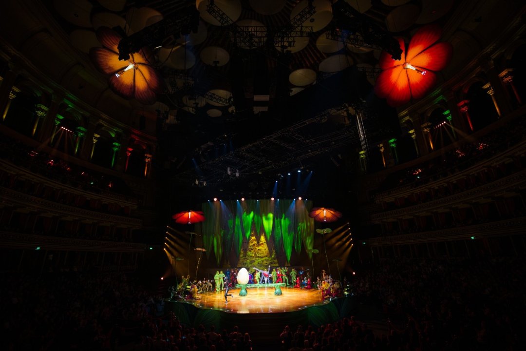Cirque-du-Soleil-OVO-at-the-Royal-Albert-Hall.-Photo-by-Anne-Marie-Forker-18 Cirque-du-Soleil-OVO-at-the-Royal-Albert-Hall.-Photo-by-Anne-Marie-Forker-18