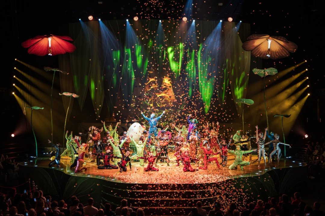 Cirque-du-Soleil-OVO-at-the-Royal-Albert-Hall.-Photo-by-Anne-Marie-Forker-19 Cirque-du-Soleil-OVO-at-the-Royal-Albert-Hall.-Photo-by-Anne-Marie-Forker-19