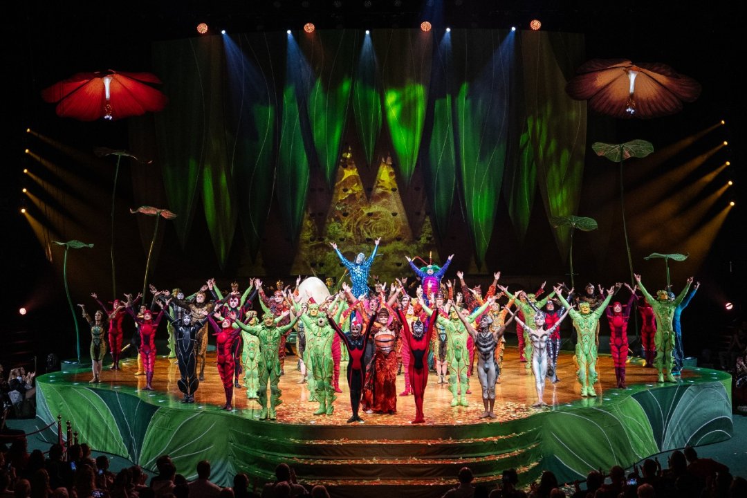 Cirque-du-Soleil-OVO-at-the-Royal-Albert-Hall.-Photo-by-Anne-Marie-Forker-20 Cirque-du-Soleil-OVO-at-the-Royal-Albert-Hall.-Photo-by-Anne-Marie-Forker-20