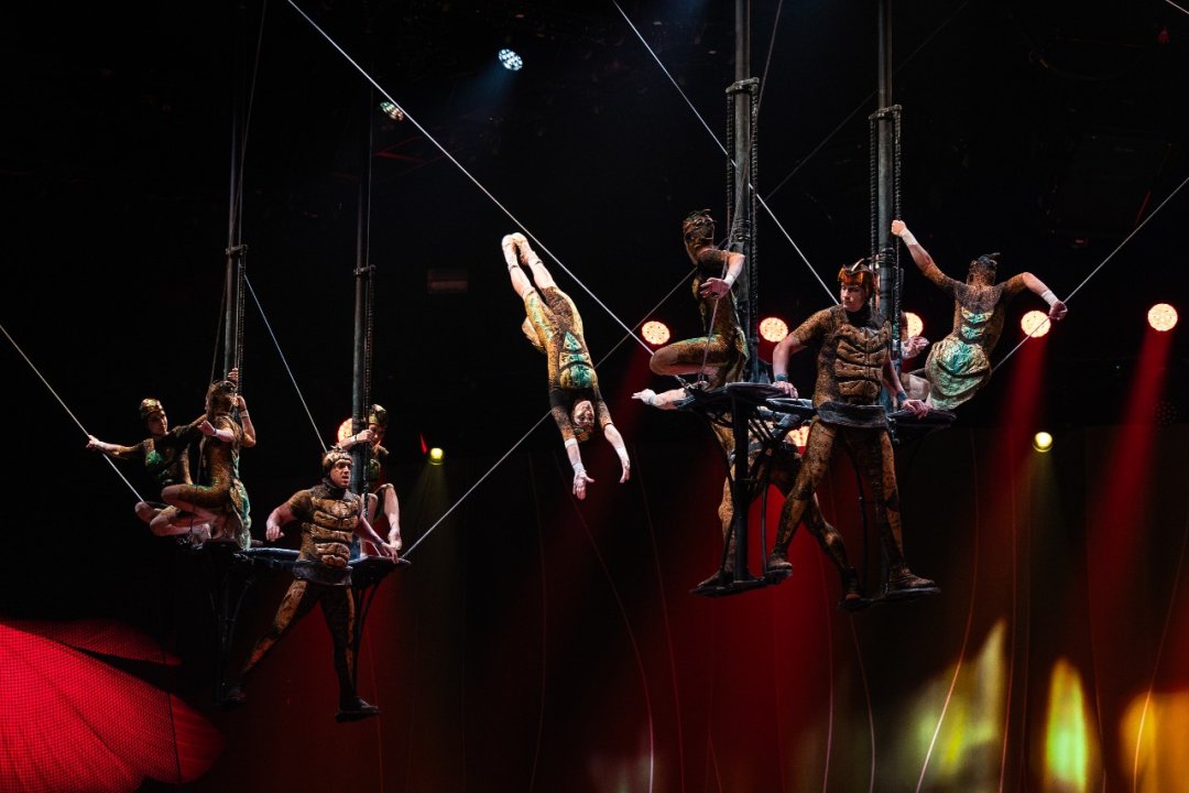 Cirque-du-Soleil-OVO-at-the-Royal-Albert-Hall.-Photo-by-Anne-Marie-Forker-22 Cirque-du-Soleil-OVO-at-the-Royal-Albert-Hall.-Photo-by-Anne-Marie-Forker-22