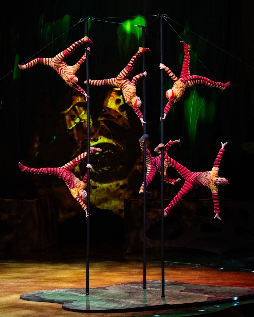 Cirque-du-Soleil-OVO-at-the-Royal-Albert-Hall.-Photo-by-Anne-Marie-Forker-23 Cirque-du-Soleil-OVO-at-the-Royal-Albert-Hall.-Photo-by-Anne-Marie-Forker-23