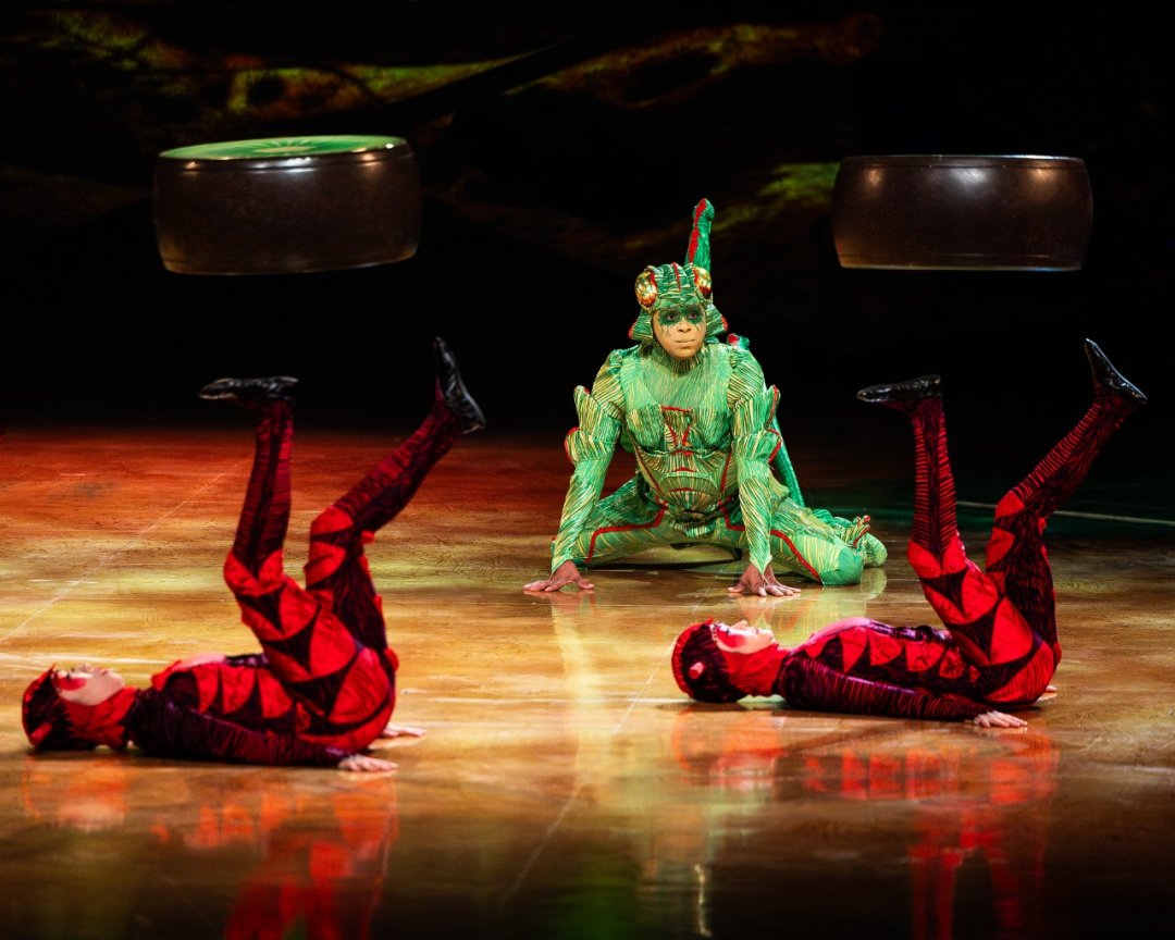 Cirque-du-Soleil-OVO-at-the-Royal-Albert-Hall.-Photo-by-Anne-Marie-Forker-6 Cirque-du-Soleil-OVO-at-the-Royal-Albert-Hall.-Photo-by-Anne-Marie-Forker-6