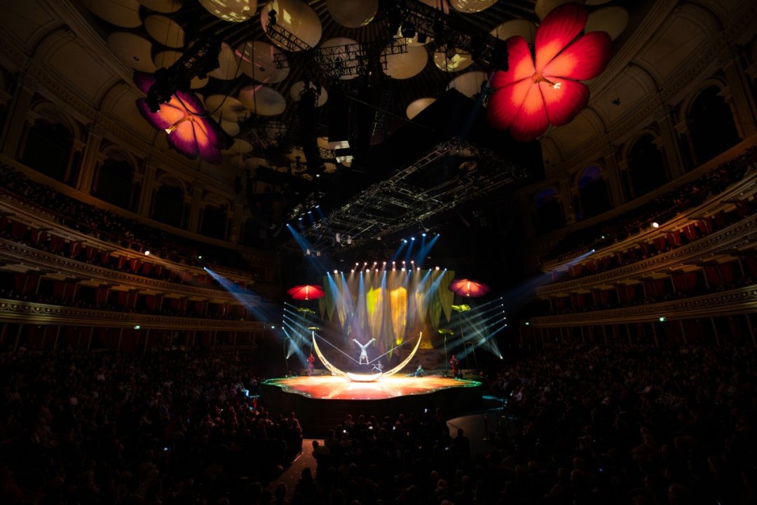Cirque-du-Soleil-OVO-at-the-Royal-Albert-Hall.-Photo-by-Anne-Marie-Forker-7 Cirque-du-Soleil-OVO-at-the-Royal-Albert-Hall.-Photo-by-Anne-Marie-Forker-7