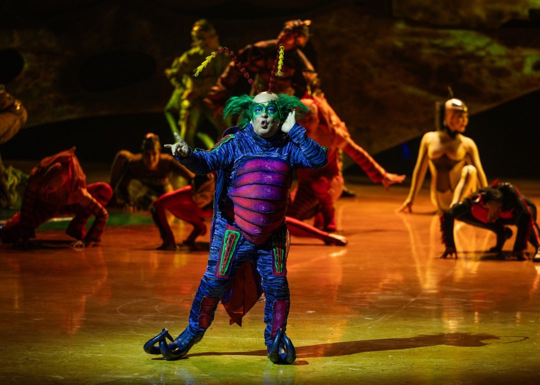 Cirque-du-Soleil-OVO-at-the-Royal-Albert-Hall.-Photo-by-Anne-Marie-Forker-9 Cirque-du-Soleil-OVO-at-the-Royal-Albert-Hall.-Photo-by-Anne-Marie-Forker-9