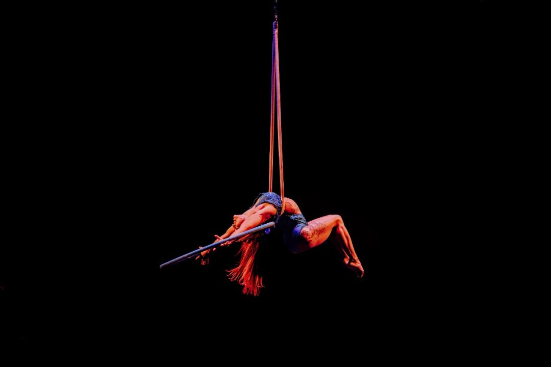 Come Alive! The Greatest Showman Circus Spectacular Come Alive! The Greatest Showman Circus Spectacular