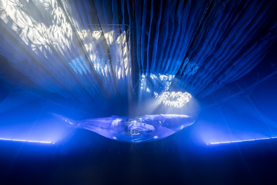 Fuerza Bruta London Fuerza Bruta London
