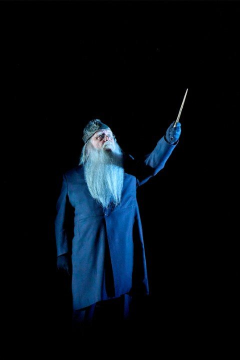 8.-Dumbledore-Ian-Redford-photo-by-Manuel-Harlan 8.-Dumbledore-Ian-Redford-photo-by-Manuel-Harlan