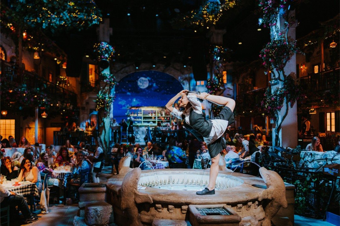 Mamma Mia! The Party Mamma Mia! The Party