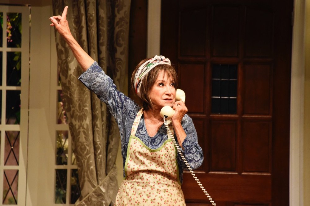 Noises Off - Theatre Royal Haymarket © Nobby Clark Noises Off - Theatre Royal Haymarket © Nobby Clark