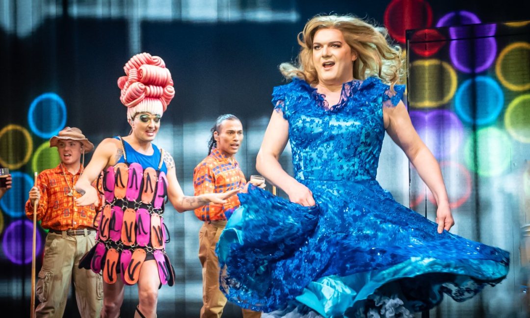 Priscilla the Party! Priscilla the Party!