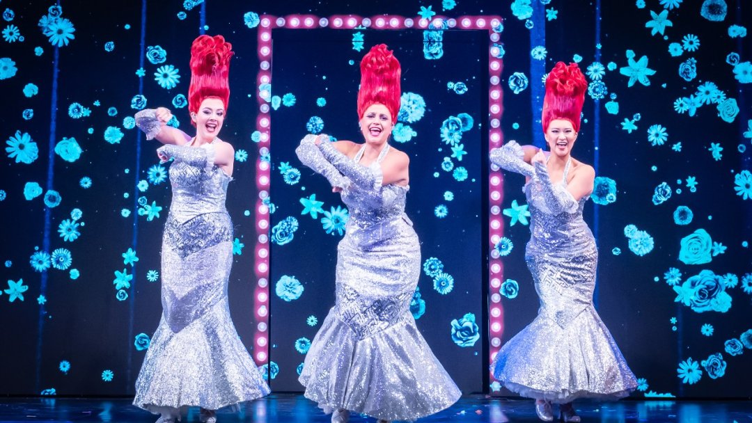 Priscilla the Party! Priscilla the Party!