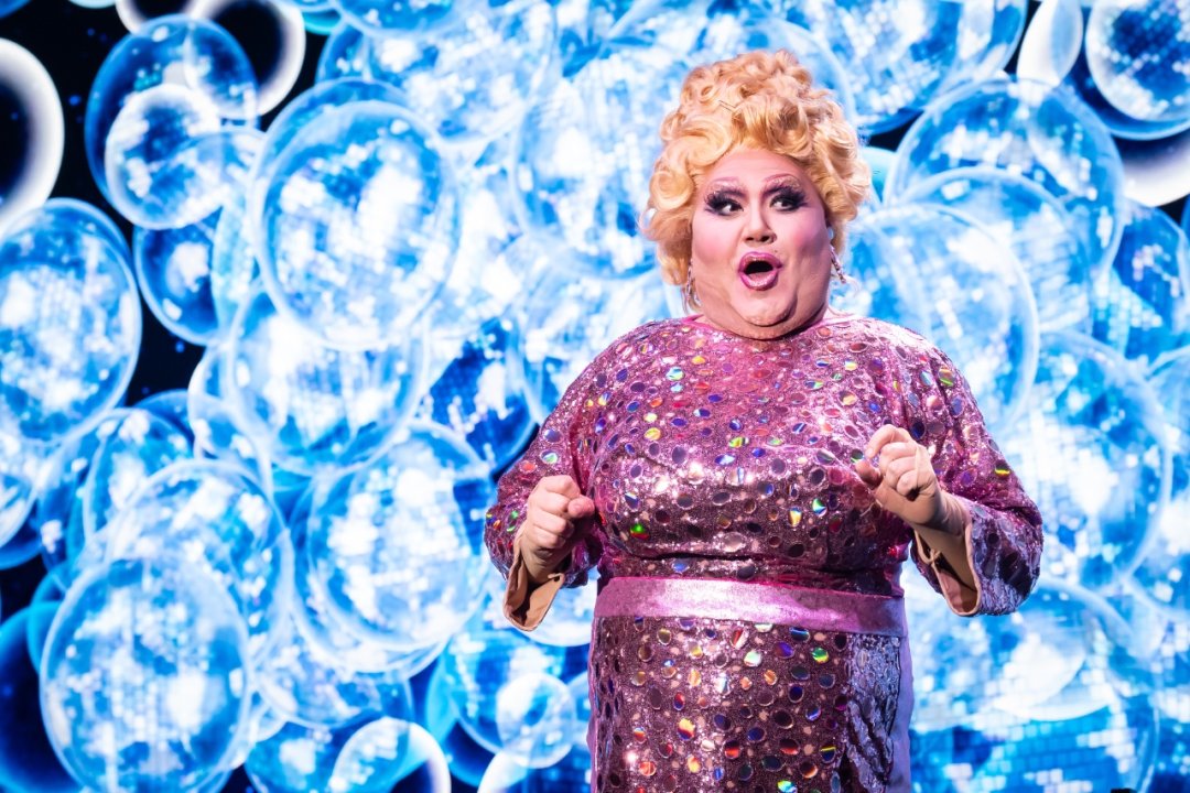 Priscilla the Party! Priscilla the Party!