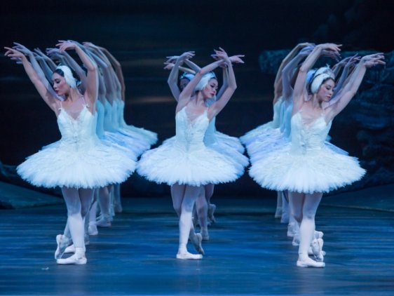 Swan Lake, English National Ballet Swan Lake, English National Ballet