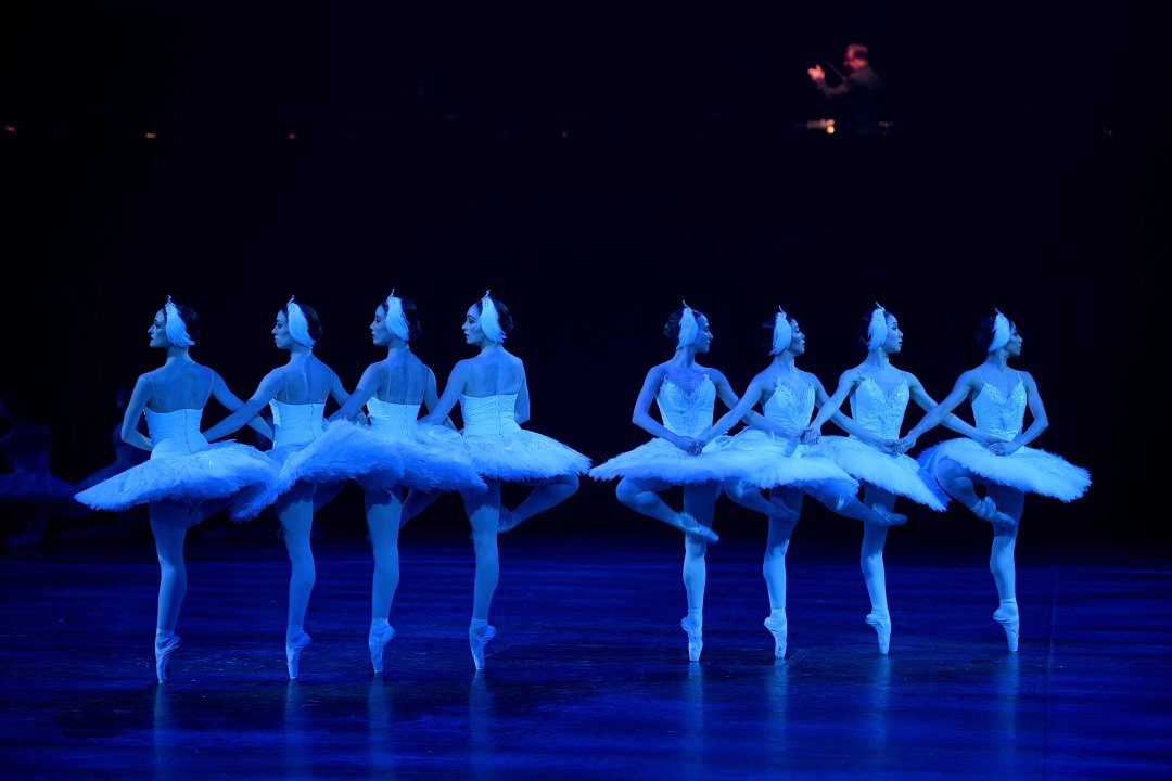 Swan Lake in the round. Photo by Laurent Liotardo Swan Lake in the round. Photo by Laurent Liotardo