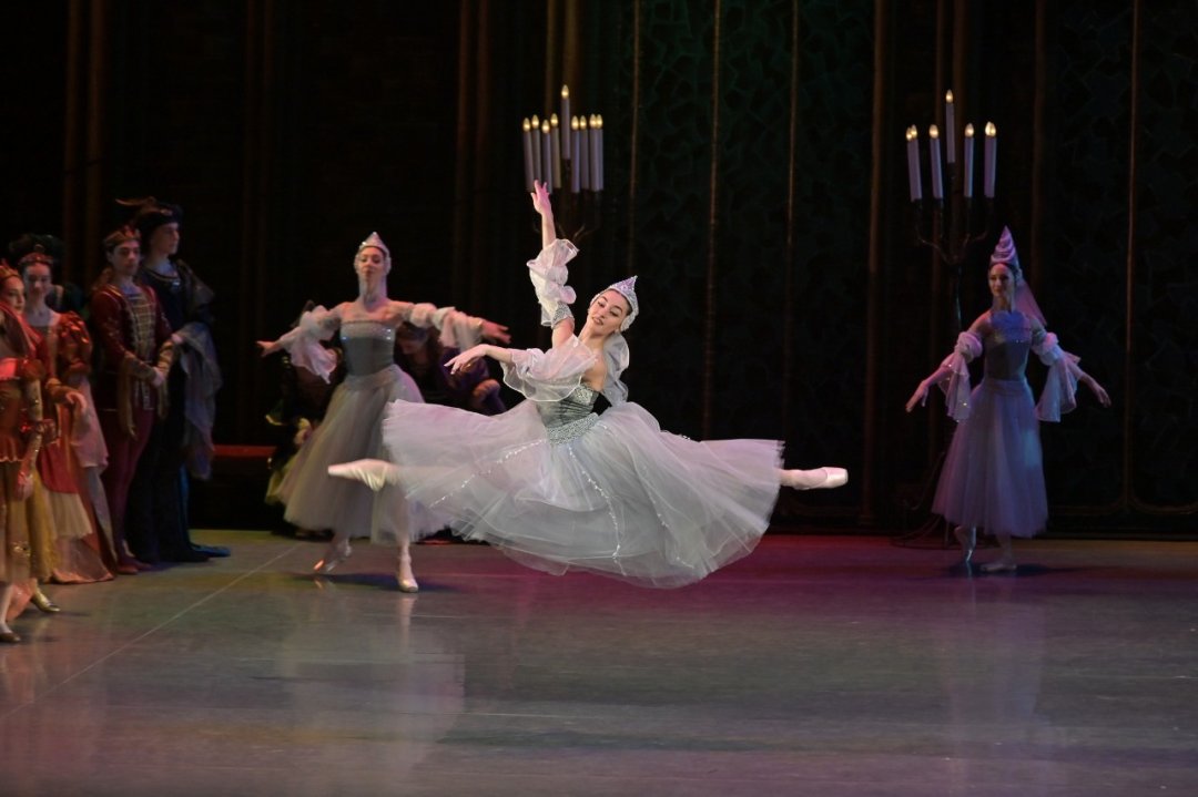 Swan Lake Swan Lake