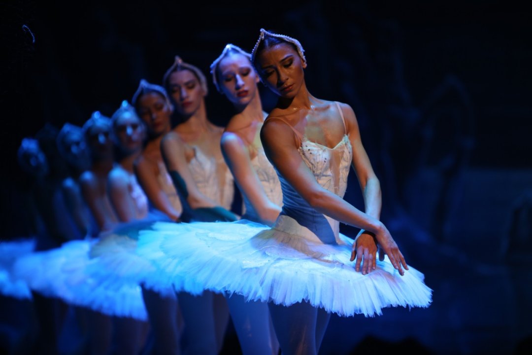 Swan Lake Swan Lake