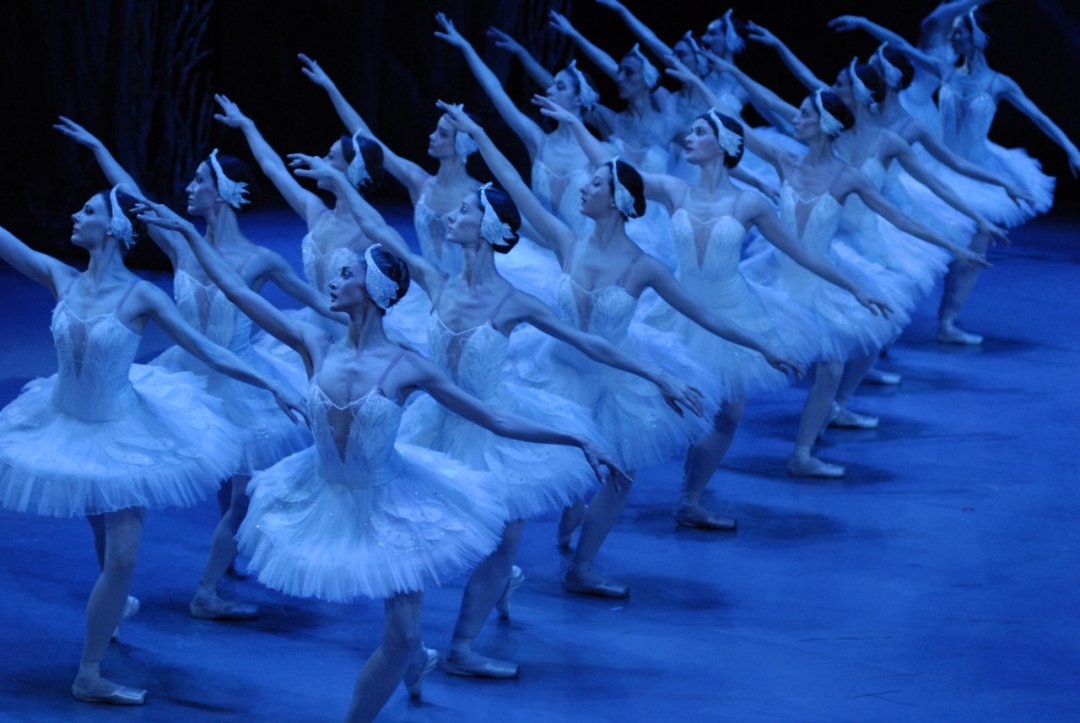Swan Lake Swan Lake