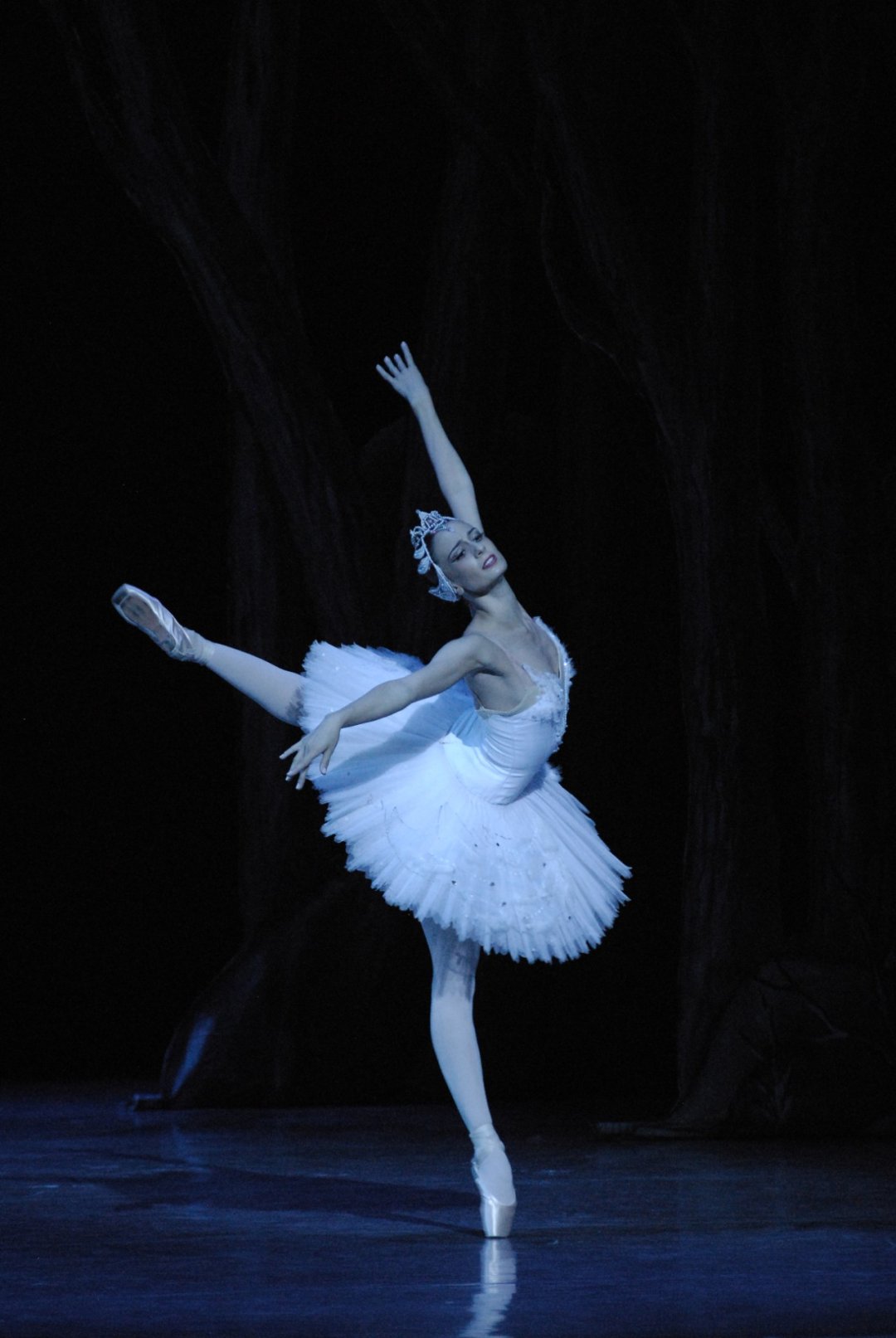 Swan Lake Swan Lake
