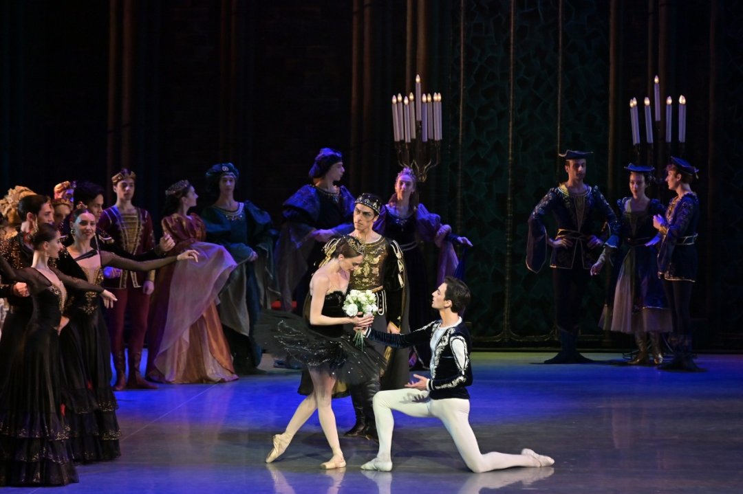 Swan Lake Swan Lake