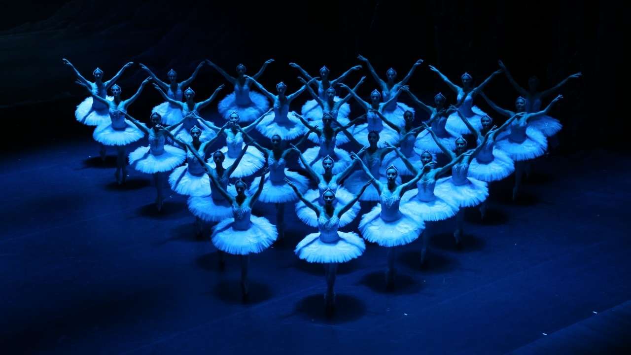 Swan Lake - The State Ballet of Georgia. Photo supplied by the production