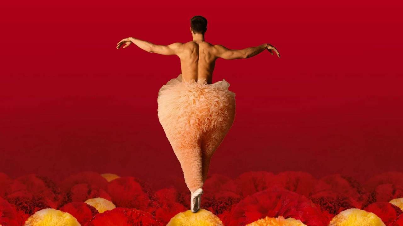 Tutu Chicos Mambo. Photo via venue