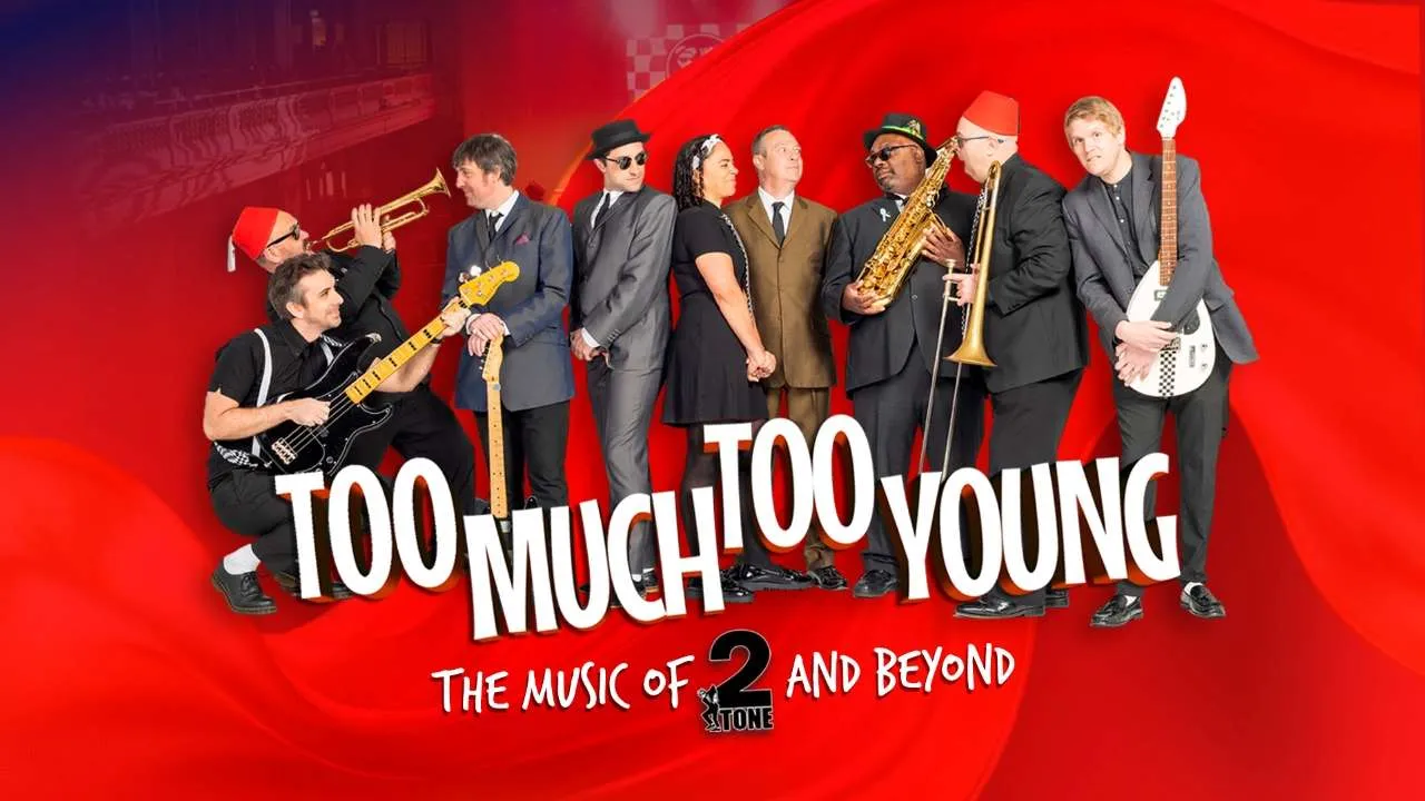 Too Much Too Young Artwork