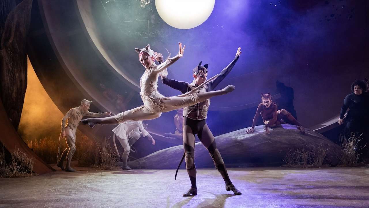 CATS. Patricia Zhou (Cassandra), Jack Wilcox (Munkustrap) and cast. Photo by Mark Senior.